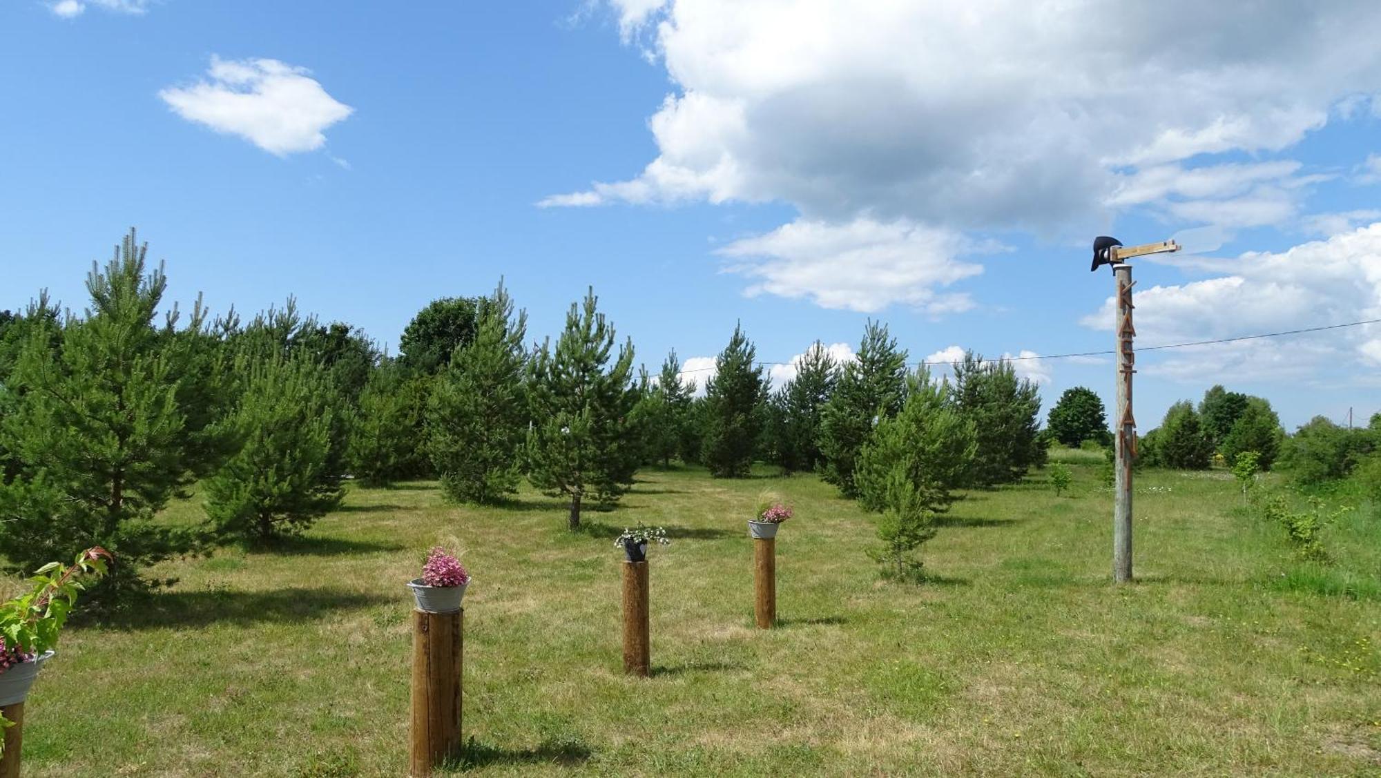 Kastani Camping Haapsalu Exterior photo
